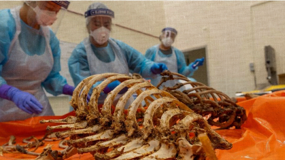 National Parks Board and SATS foil attempt to smuggle 35.7 kg of rhinoceros horns; seizure by NParks marks largest haul of rhinoceros horns in Singapore to date